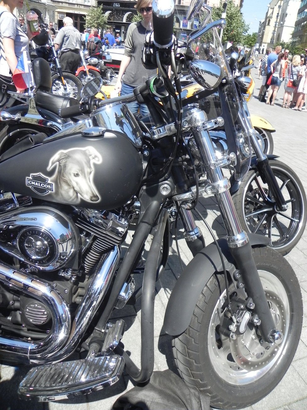 Přehlídka nablýskaných strojů Harley-Davidson na brněnském náměstí Svobody. Do Pasohlávek se tento týden sjelo na 8 tisíc vyznavačů této legendární značky.