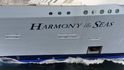 České cestovky už nabízejí i plavbu největší výletní lodí světa Harmony of the Seas. Plavidlo floridské společnosti Royal Caribbean Cruises o délce 362 metrů pojme 5500 cestujících, nabízí 23 bazénů, park s dvanácti tisíci rostlin nebo také uměleckou galerií s plastikou od sochaře Davida Černého. O pohodlí pasažérů se stará posádka čítající 2300 osob. České cestovky už nabízejí i plavbu největší výletní lodí světa Harmony of the Seas. Plavidlo floridské společnosti Royal Caribbean Cruises o délce 362 metrů pojme 5500 cestujících, nabízí 23 bazénů, park s dvanácti tisíci rostlin nebo také uměleckou galerií s plastikou od sochaře Davida Černého. O pohodlí pasažérů se stará posádka čítající 2300 osob.
