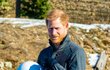 Harry a Meghan ve Whistleru v Kanadě Harry a Meghan ve Whistleru v Kanadě