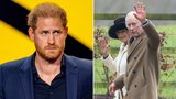 Pravda o Harryho návštěvě nemocného krále: Kladl si podmínky! Koho odmítl potkat?