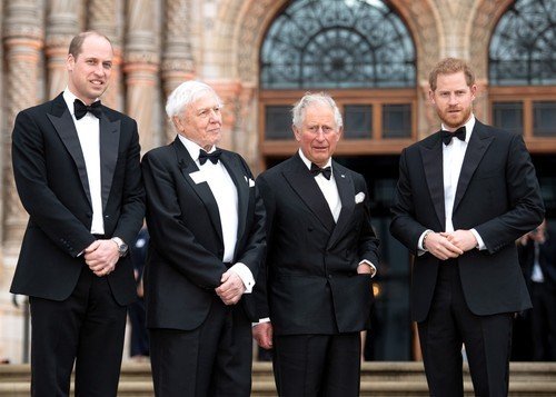 Harry, William a Charles se sirem Davidem Attenboroughem