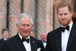 Princ Harry doufá v setkání s nemocným otcem: Princ William bude opět chybět