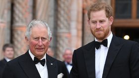 Princ Harry doufá v setkání s nemocným otcem: Princ William bude opět chybět