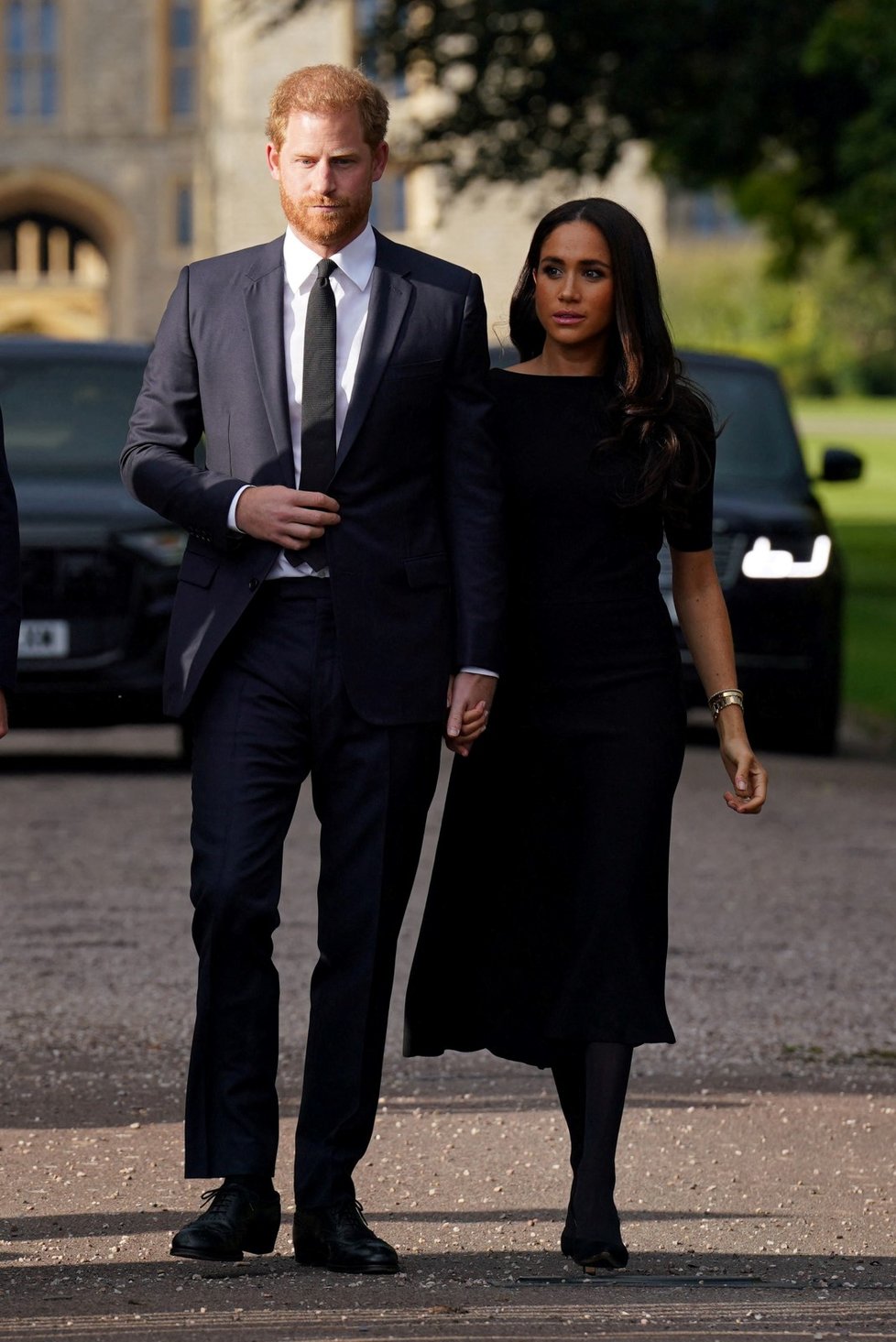 Harry a Meghan ve Windsoru