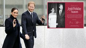 Harry a Meghan zveřejnili letošní vánoční přání.