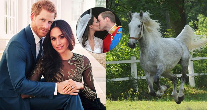 V roce 2011 dalo Česko Williamovi a Kate koně, kterého si královská rodina nevyzvedla. Tentokrát bude svatba Harryho a Meghan bez daru i české oficiální účasti