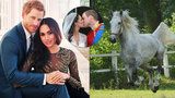 Čechy na královskou svatbu Harryho a Meghan nepozvali. Trapas s koněm stačil