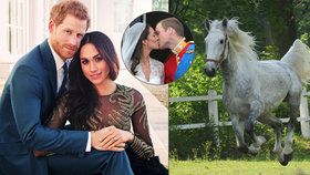 V roce 2011 dalo Česko Williamovi a Kate koně, kterého si královská rodina nevyzvedla. Tentokrát bude svatba Harryho a Meghan bez daru i české oficiální účasti.