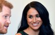 Vévodkyně Meghan a princ Harry