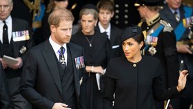 Harry a Meghan