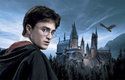 Harry Potter před Školou čar a kouzel v Bradavicích