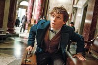 Svět Harryho Pottera se vrací: Držitel Oscara se objeví v novém filmu o magických zvířatech