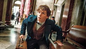 Svět Harryho Pottera se vrací: Držitel Oscara se objeví v novém filmu o magických zvířatech