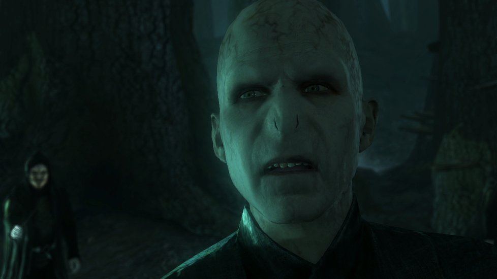 Lord Voldemort chce Harryho zabít…