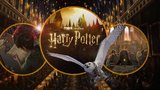 Potvrzeno: Harry Potter se vrací do Bradavic, nově jako seriál pod dohledem autorky