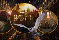 Potvrzeno: Harry Potter se vrací do Bradavic, nově jako seriál pod dohledem autorky