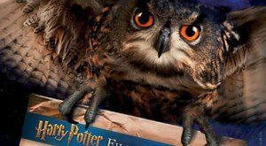 Harry Potter a Kámen mudrců s živým orchestrem: Soutěž o vstupenky