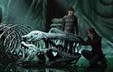 Harry Potter: Magická místa z filmů je bohatě ilustrovaná encyklopedie se všemi důležitými místy ze světa kouzelníků