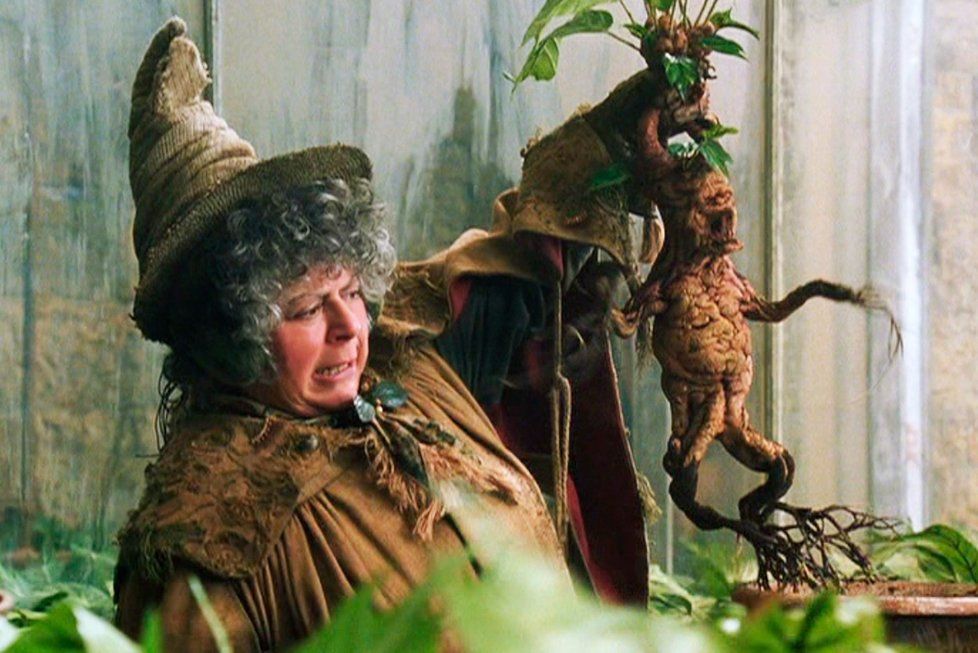 Miriam Margolyes, představitelka profesorky Prýtové z Harryho Pottera