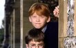 Série o Harry Potterovi začala v roe 2001 Kamenem mudrců.