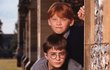 2011: To byly časy: Grint v prvním Harrym Potterovi s Danielem Radcliffem a Emmou Watson.