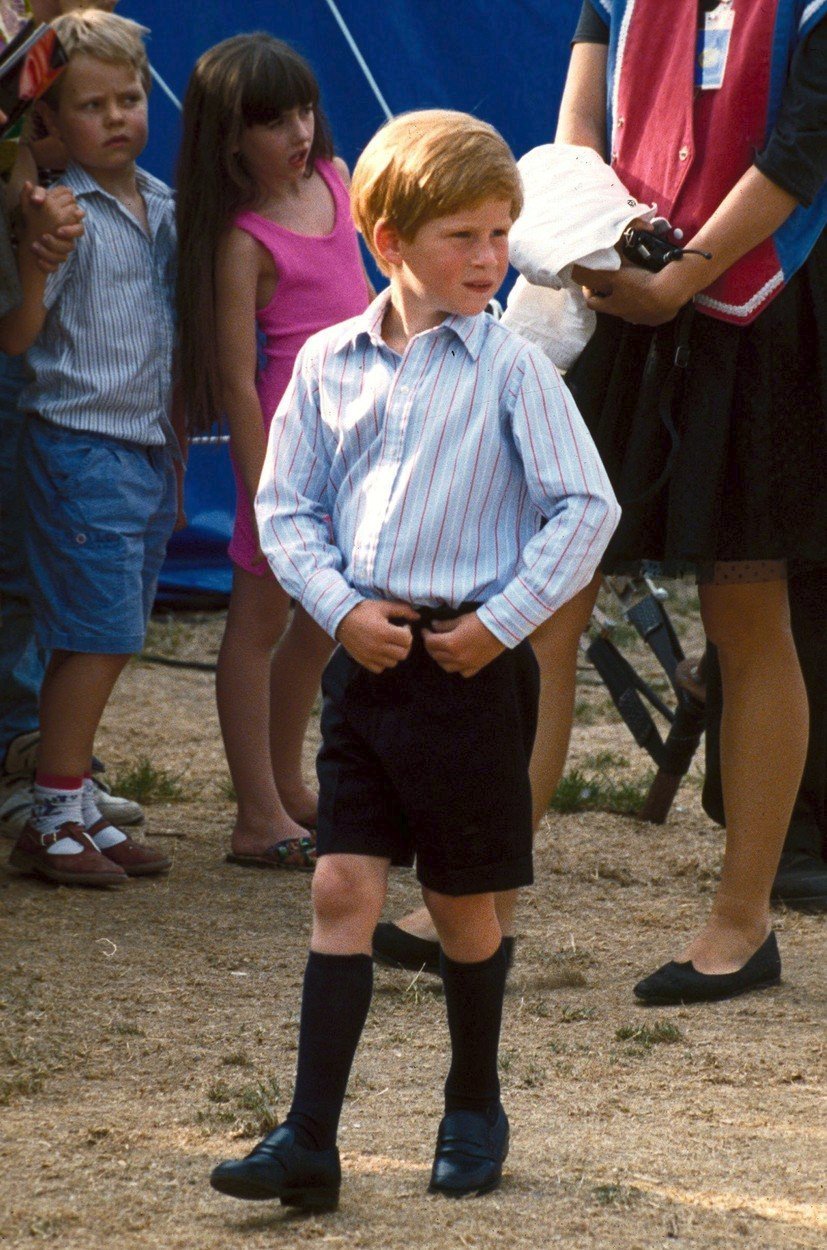 Z dětství prince Harryho