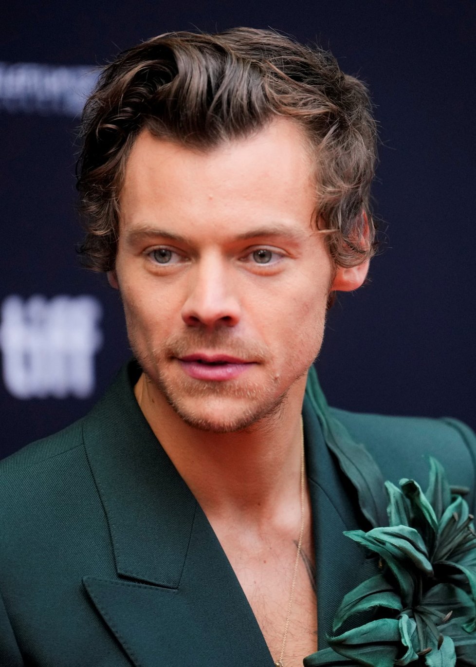 Harry Styles