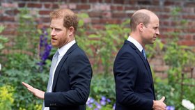 Odhalení sochy princezny Diany: Harry a William