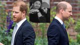 Po odvysílání dokumentu Harry a Meghan: Strach o prince Williama!