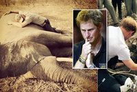 Šok pro prince Harryho: Objímal slona zabitého pytláky a zachraňoval nosorožce