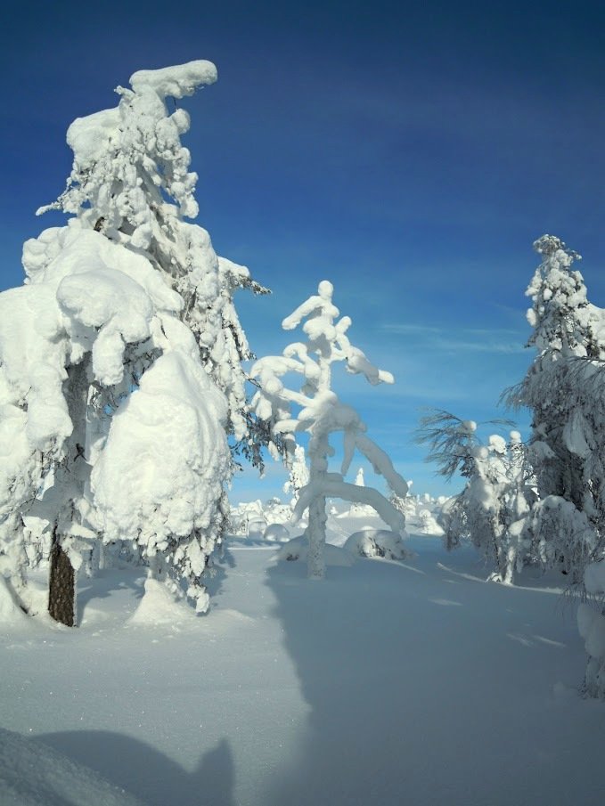 Sníh na Vánoce nenapadne, o svátcích bude teplo. Ochladí se až na Silvestra (ilustrační foto)