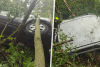 Hasiči zasahovali u záhadné nehody: Auto zaklíněné mezi stromy nemělo značky ani řidiče