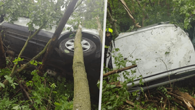 Podivný zásah hasičů na Svitavsku: Opuštěné auto uvízlo mezi kmeny stromů!