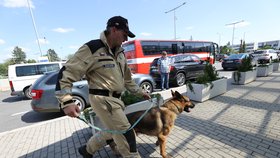 Do Bejrútu ve středu odpoledne vycestovali čeští hasiči, aby pomohli s pátráním po případných zraněných osobách při neblahém výbuchu v tamním přístavu.