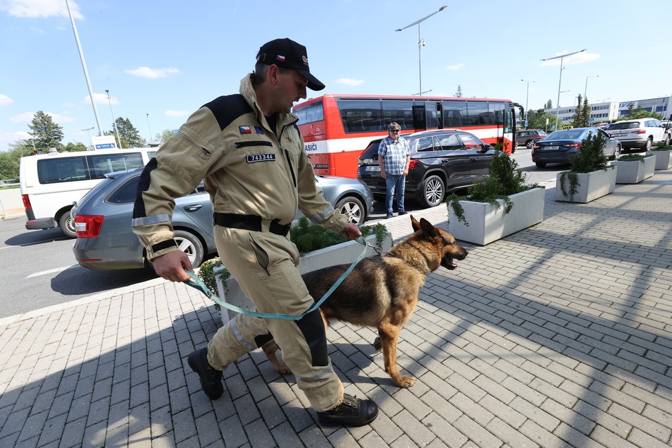 Do Bejrútu ve středu odpoledne vycestovali čeští hasiči, aby pomohli s pátráním po případných zraněných osobách při neblahém výbuchu v tamním přístavu.