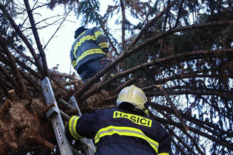 V úterý 10.8. vyjely hasičské jednotky k 15 zásahům kvůli deštivém a větrnému počasí, a to v okresech Louny, Litoměřice a Most. Ve dvanácti případech to bylo odstranění stromu nebo větví spadlých na vozovku.