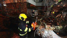 Pražští hasiči zasahovali během nedělního večera až do 6. hodiny ranní u celkem 35 případů, které souvisely se silným větrem.