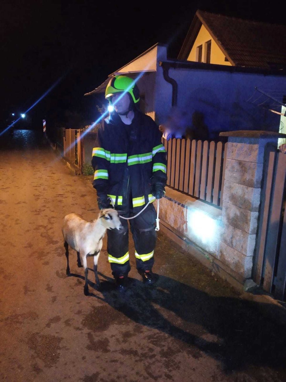 Hasiči na Chrudimsku museli kvůli bouřkám evakuovat stádo ovcí a koz. (15.6.2020)