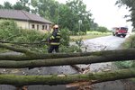 Spadlý strom odstraňovali hasiči ve Velaticích na Brněnsku.