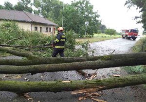 Spadlý strom odstraňovali hasiči ve Velaticích na Brněnsku.