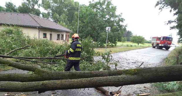 Spadlý strom odstraňovali hasiči ve Velaticích na Brněnsku.