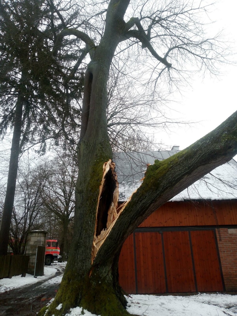 Hasiči Královehradeckého kraje na Štědrý den odstraňovali ze střechy spadlý strom (24.12.2023)