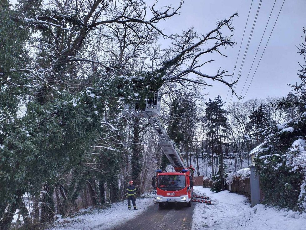 Hasiči Jihomoravského kraje vyjížděli v noci na Štědrý den ke 147 popadaným stromům na komunikacích (24.12.2023)