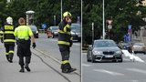 Po Jiráskově mostě si to vykračovala labuť: Ohrožovala auta, zasahovali hasiči