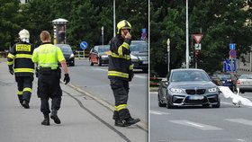 Pražští hasiči chytali labuť na Jiráskově mostě.
