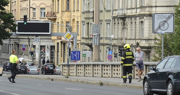 Pražští hasiči chytali labuť na Jiráskově mostě.