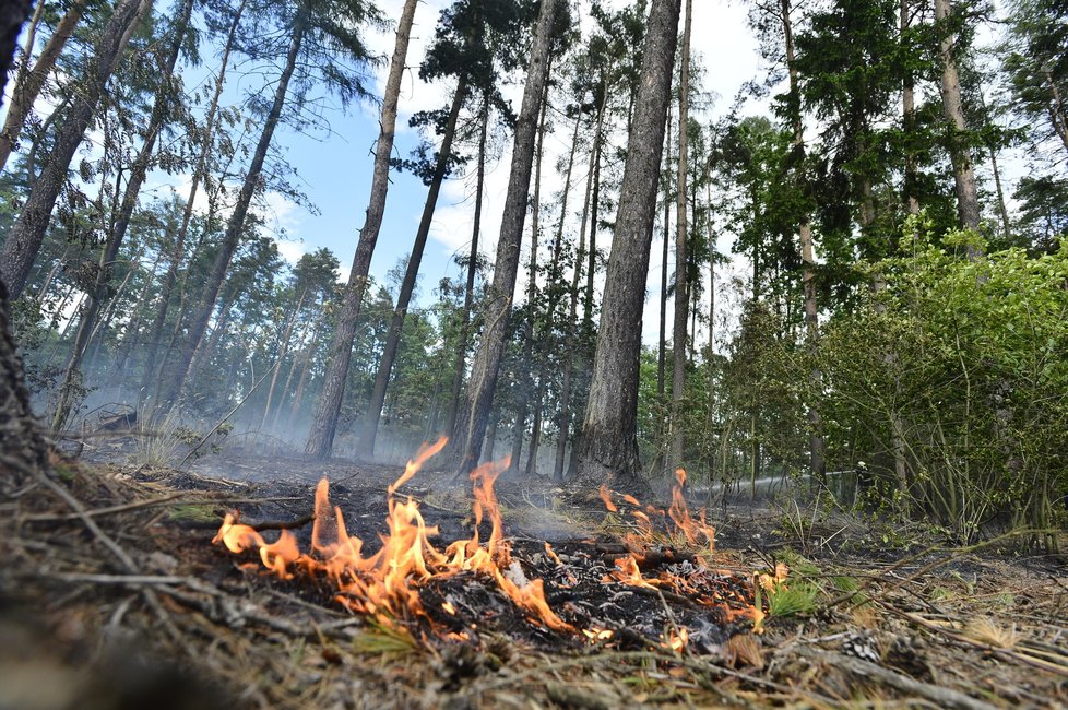 V Benátkách nad Jizerou zasahovalo 14 jednotek hasičů u požáru louky