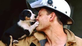 Australští hasiči nafotili sexy kalendář: Výtěžek půjde na pomoc zraněným zvířatům při požárech!