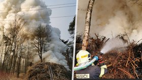 Hasiči požár dřevin hasili asi šest hodin.