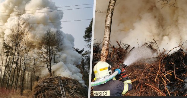 Žhář zapálil v Kladně hromadu dřevin: Kriminalisté po něm pátrají 